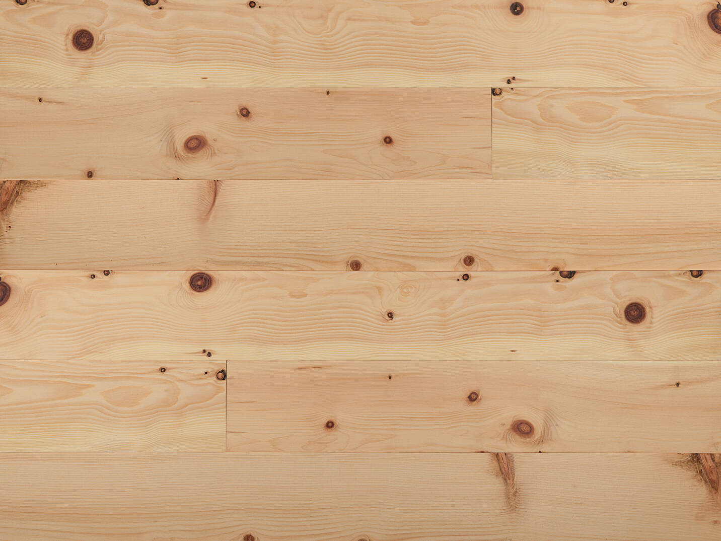 06.101_Zirbe alpenlaendisch_naturgeoelt.jpg